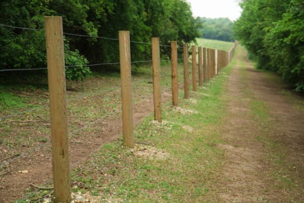 Fencing Posts (4-5" & 5-6" Sizes)